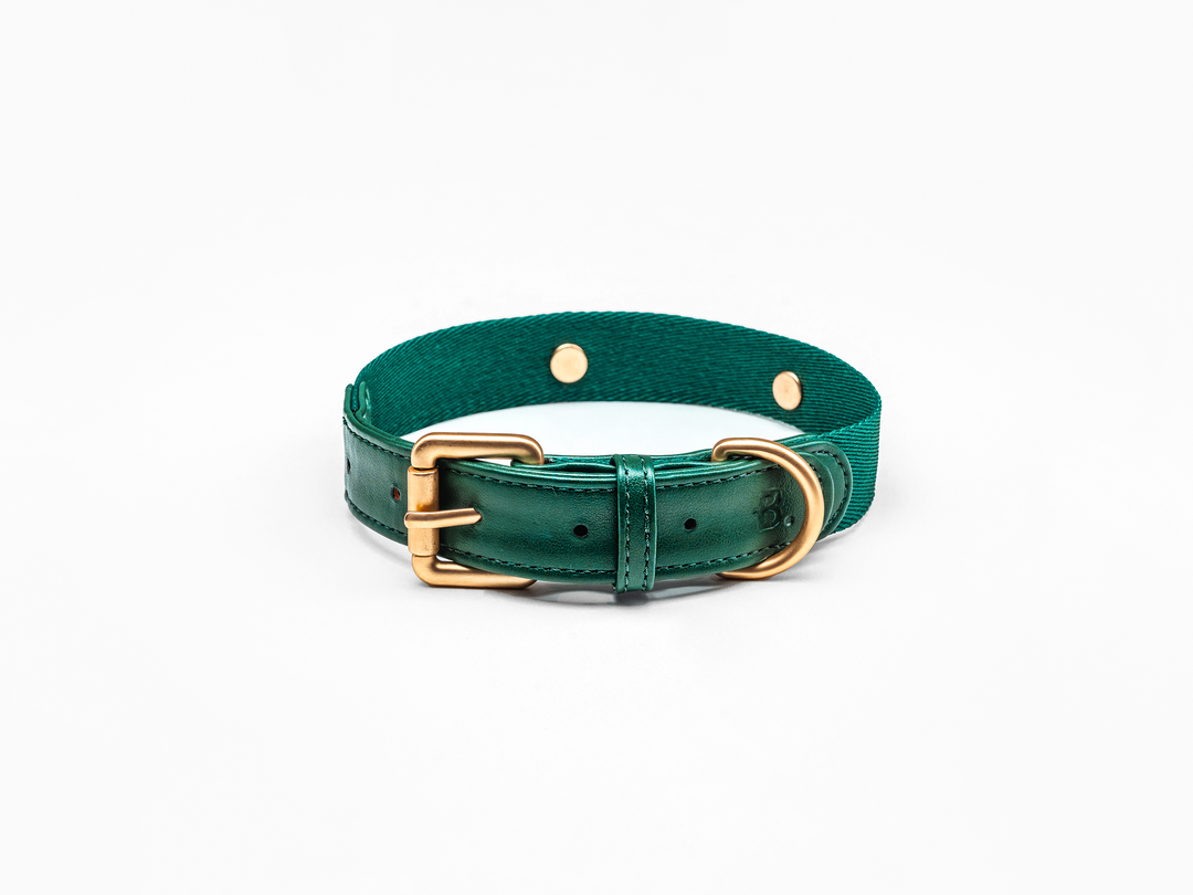 Green Dog Collar