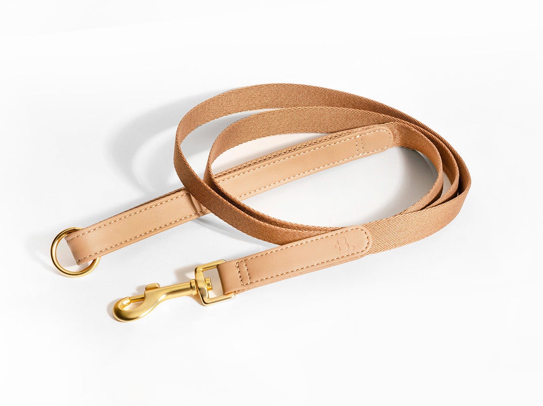 Beige Dog Leash