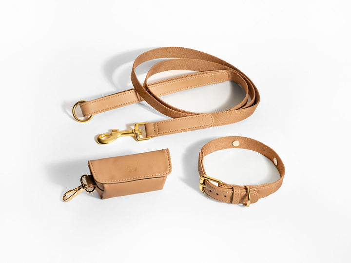 Beige Dog Collar Walk Kit + Poop Bag Holder