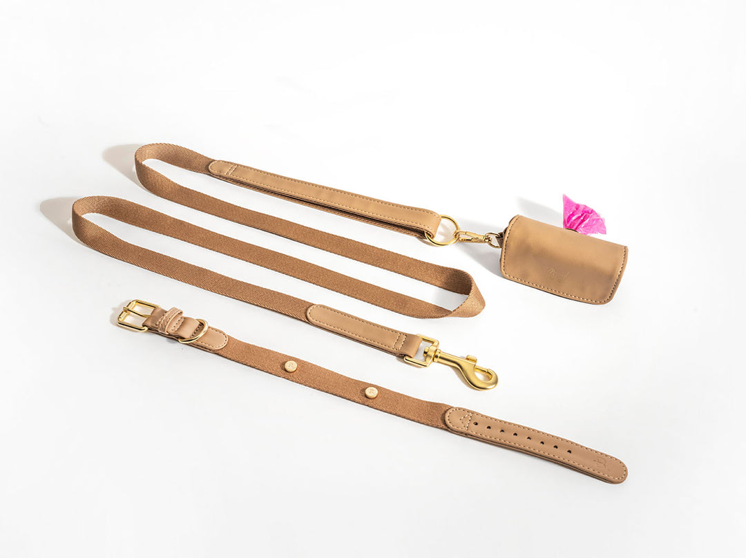 Beige Dog Collar Walk Kit + Poop Bag Holder