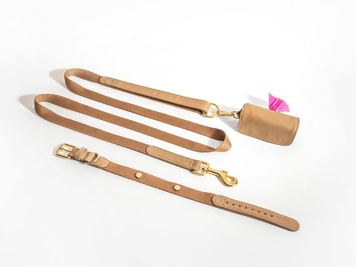 Beige Dog Collar Walk Kit + Poop Bag Holder