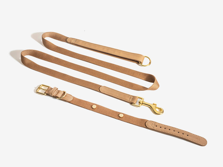 Beige Dog Collar Walk Kit