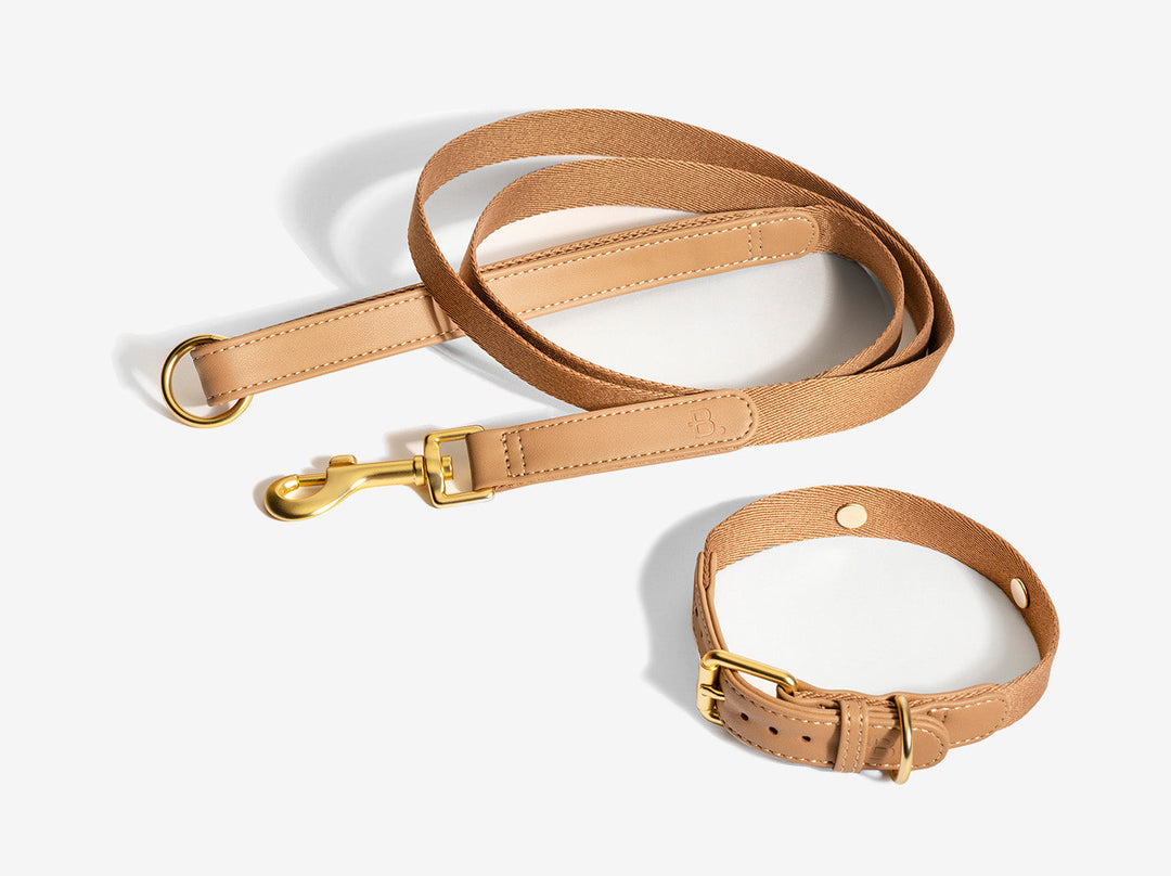 Beige Dog Collar Walk Kit