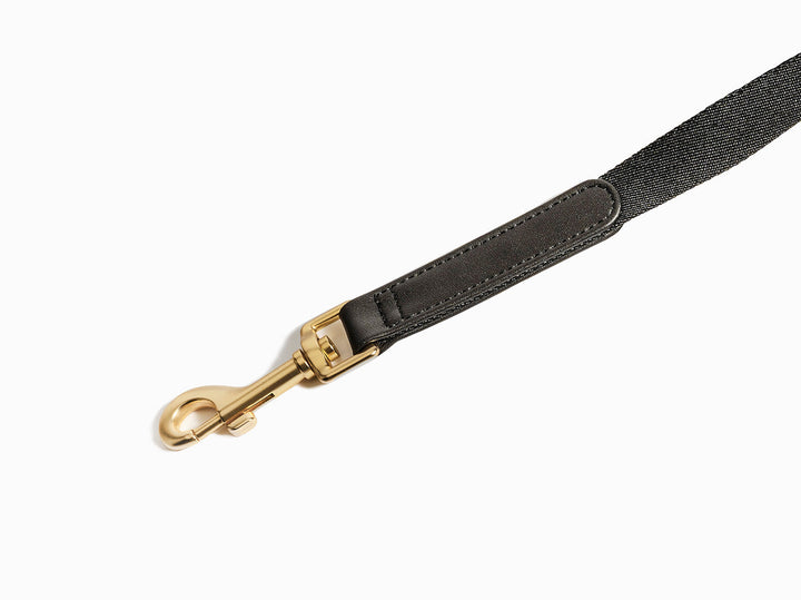 Black Dog Leash