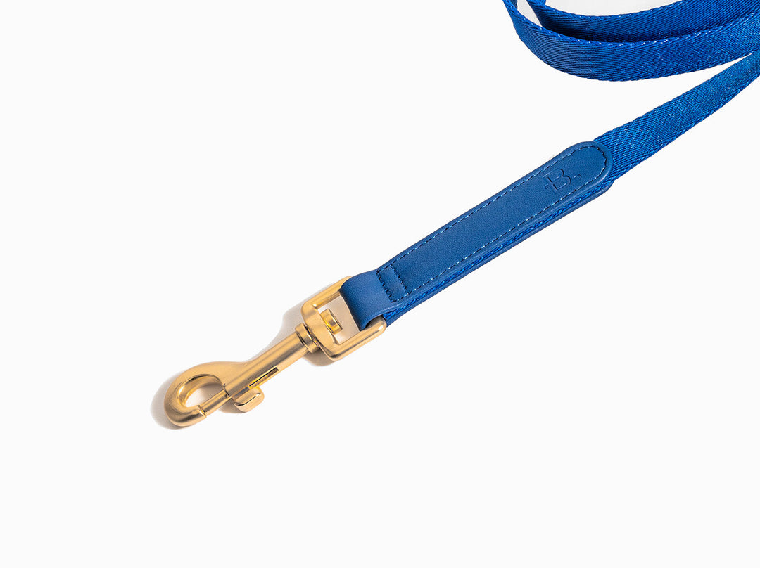 Blue Dog Leash