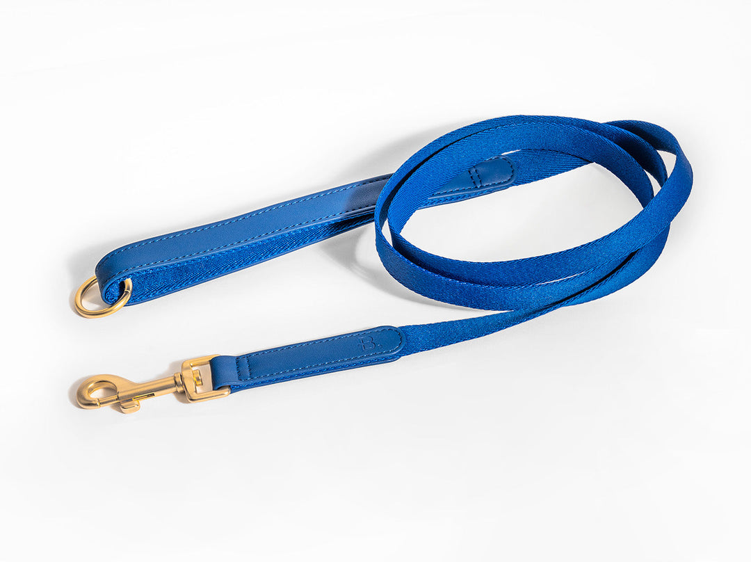 Blue Dog Leash