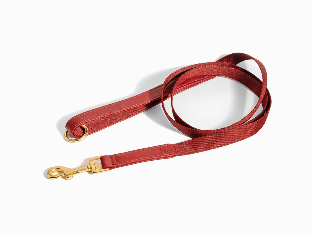 Burgundy Dog Leash