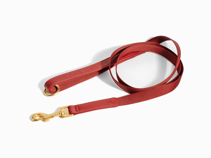 Burgundy Dog Leash