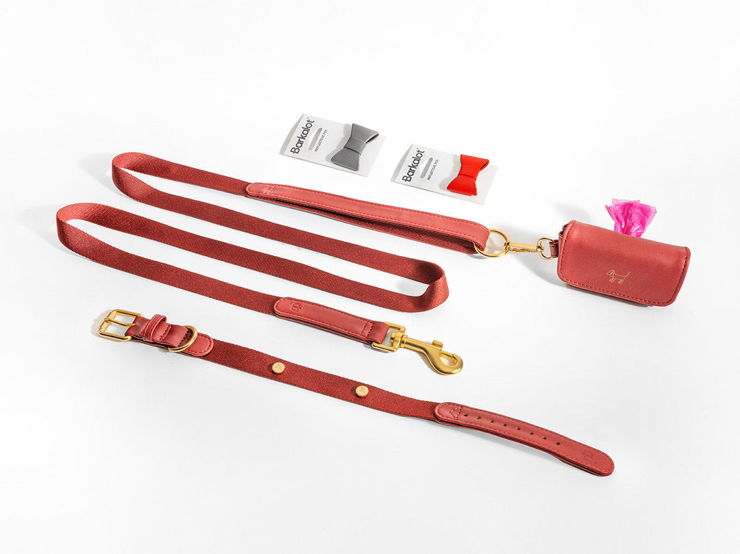 Bugundy Dog Collar Walk Kit +  Poop Bag Holder + Pins