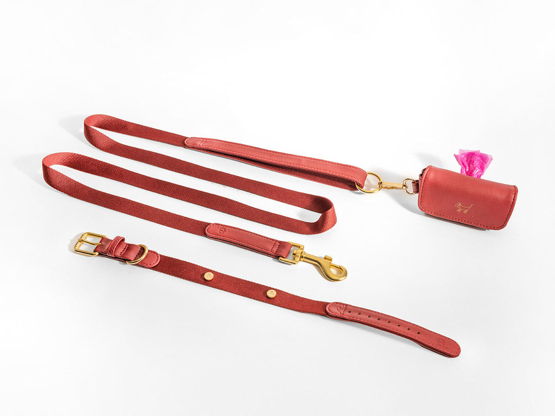 Burgundy dog collar walk kit + Poop Bag Holder