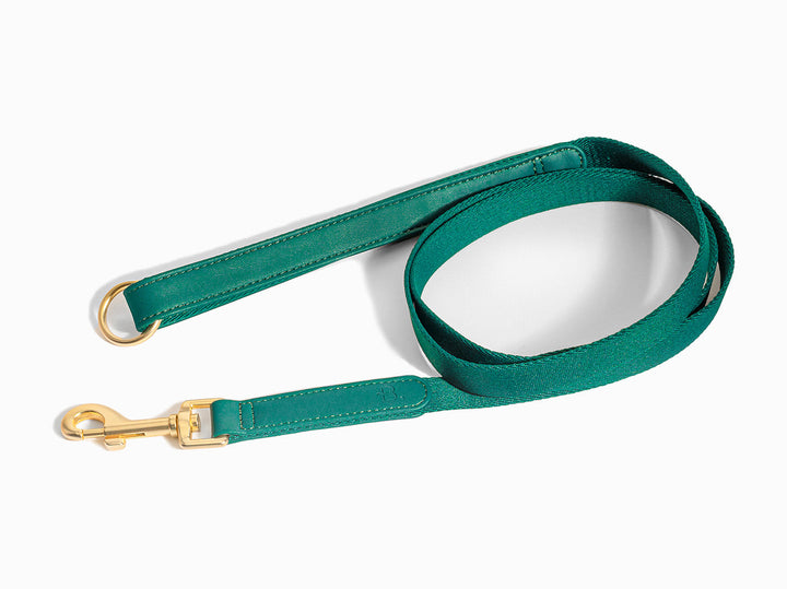 Green Dog Leash