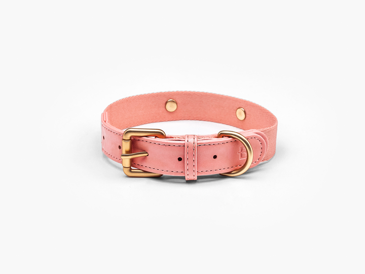 Pink Dog Collar