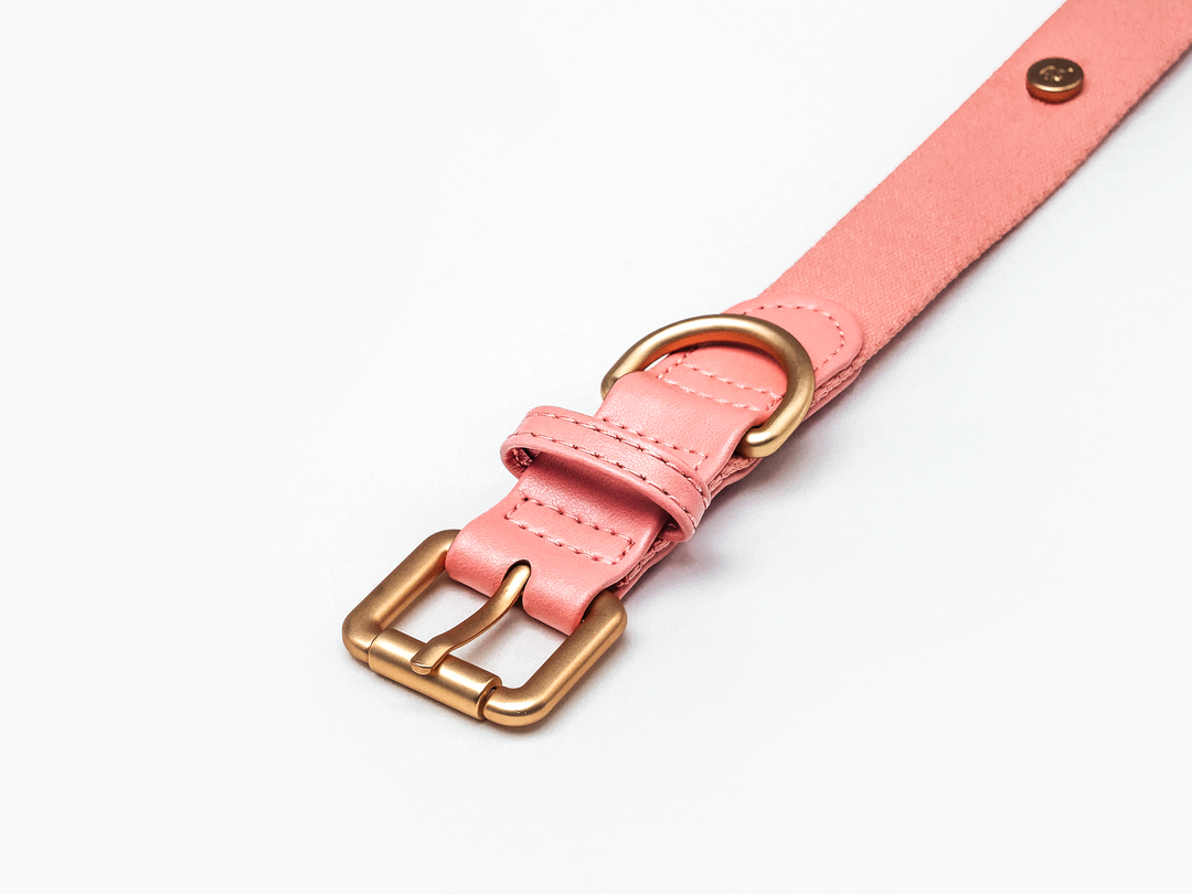 Pink Dog Collar