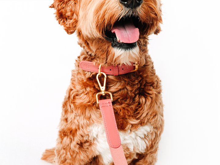 Pink Dog Leash