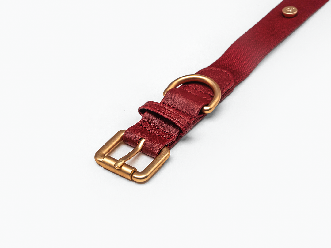 Burgundy Dog Collar