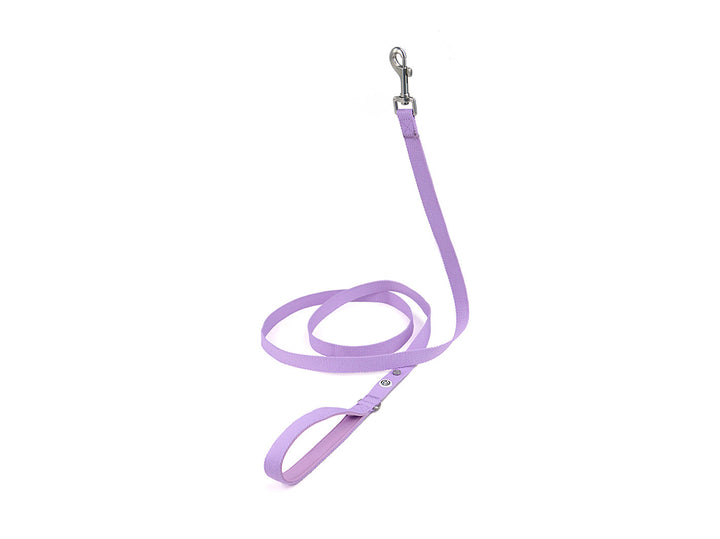 Lilac Dog Collar Walk Kit