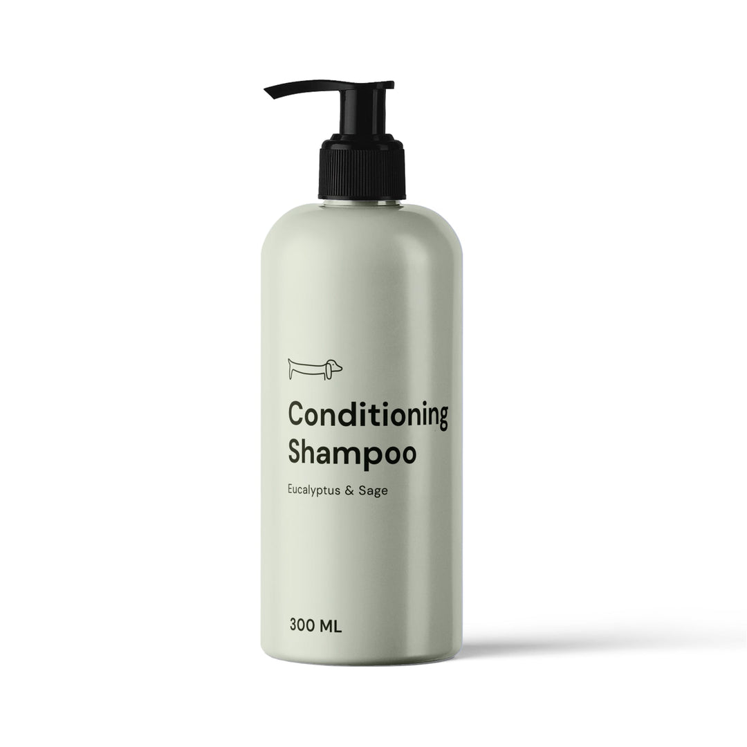 Conditioning Shampoo