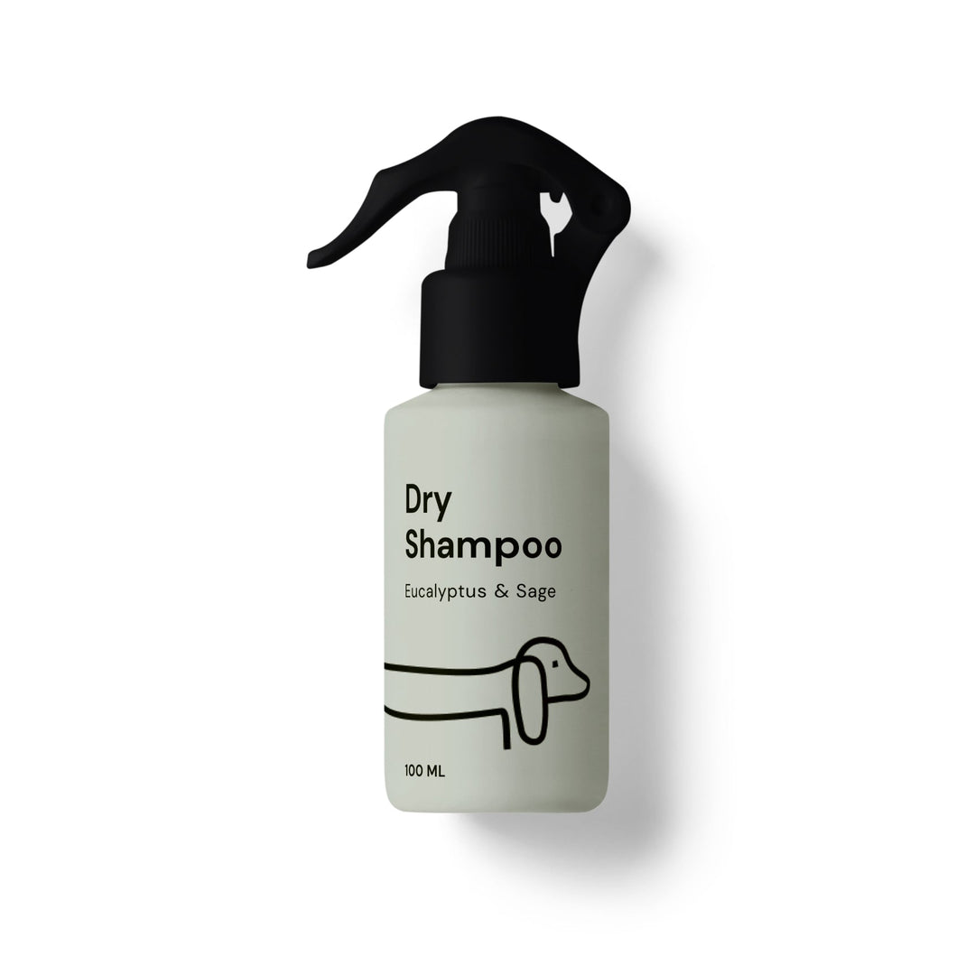 Dry Shampoo